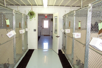 Our Kennels